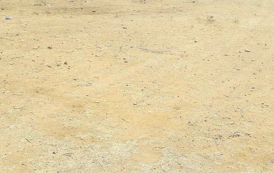 <div class="paragraphs"><p> ನಿವೇಶನ ಜಾಗ</p></div>