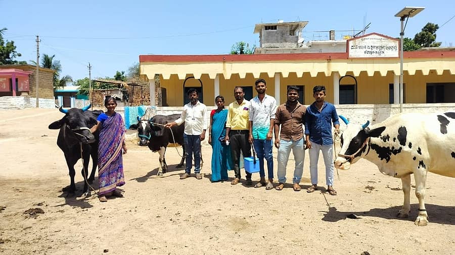 ಯಲಬುರ್ಗಾ ತಾಲ್ಲೂಕು ತರಲಕಟ್ಟಿ ಗ್ರಾಮದಲ್ಲಿ ಚರ್ಮಗಂಟು ರೋಗ ನಿಯಂತ್ರಣಕ್ಕಾಗಿ ಆರಂಭಿಸಿರುವ ಉಚಿತ ಲಸಿಕಾ ಅಭಿಯಾನಕ್ಕೆ ಶನಿವಾರ ಚಾಲನೆ ನೀಡಲಾಯಿತು