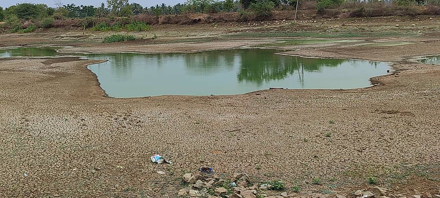 ಬ್ಯಾಡಗಿ ತಾಲ್ಲೂಕಿನ ಶಿಡೇನೂರ ಗ್ರಾಮದ ಕೆರೆ ಬತ್ತುತ್ತಿರುವುದು