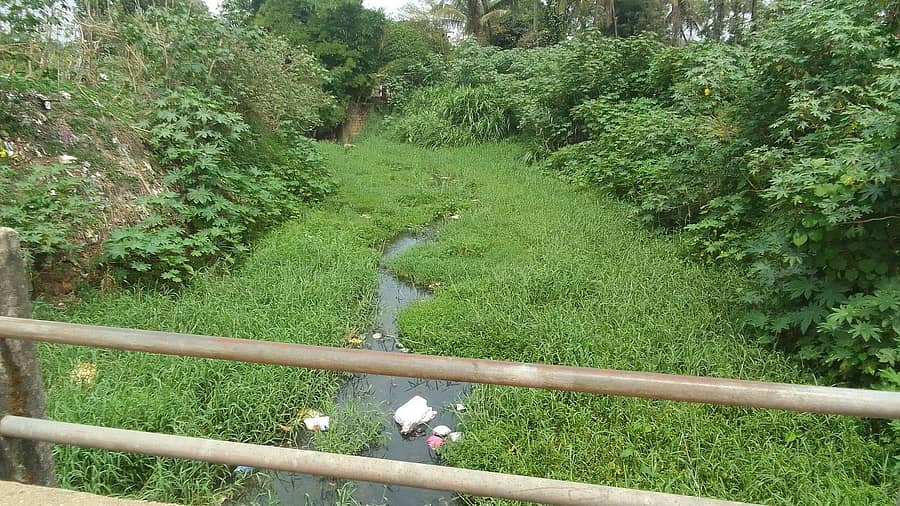 ಗೋಣಿಕೊಪ್ಪಲಿನಲ್ಲಿ ಹರಿಯುತ್ತಿರುವ ಕೀರೆಹೊಳೆ ಹೂಳು ತುಂಬಿ ಗಿಡಗಂಟಿಗಳು ಬೆಳೆದು ಕಾಡಿನಂತಾಗಿದೆ. ಹೊಳೆ ನೀರು ಸಂಪೂರ್ಣ ಮಲಿನವಾಗಿದೆ