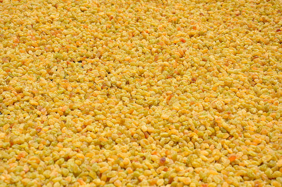 ಒಣ ದ್ರಾಕ್ಷಿ ರಾಶಿ