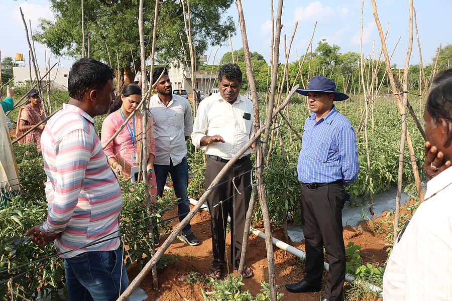 ಚಿಂತಾಮಣಿ ತಾಲ್ಲೂಕಿನ ಬೂರಗಮಾಕಲಹಳ್ಳಿ, ಊಲವಾಡಿ ಗ್ರಾಮದ ಟೊಮೆಟೋ ತೋಟಗಳಿಗೆ ತೋಟಗಾರಿಕೆ ಇಲಾಖೆ ಅಧಿಕಾರಿಗಳು ಮತ್ತು ವಿಜ್ಞಾನಿಗಳು ಭೇಟಿ ನೀಡಿದ್ದರು.