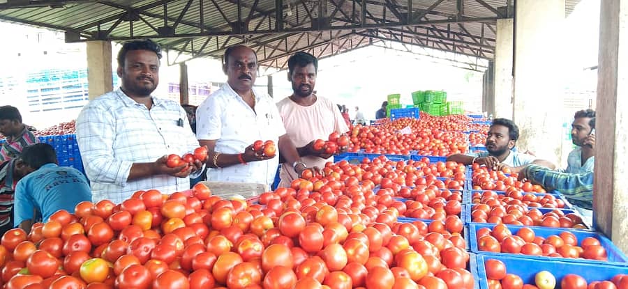 ಟೊಮೆಟೊಗೆ ಬೆಲೆ ಹೆಚ್ಚಾಗಿರುವುದರಿಂದ ಎನ್.ವಡ್ಡಹಳ್ಳಿ ಟೊಮೆಟೊ ಮಾರುಕಟ್ಟೆಯಲ್ಲಿ ವ್ಯಾಪಾರಿಗಳು ಖುಷಿಯಿಂದ ಹರಾಜು ಹಾಕಿದರು