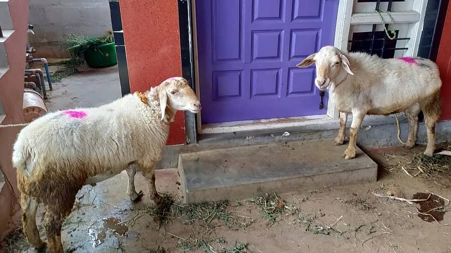 ಪ್ರಾತಿನಿಧಿಕ ಚಿತ್ರ