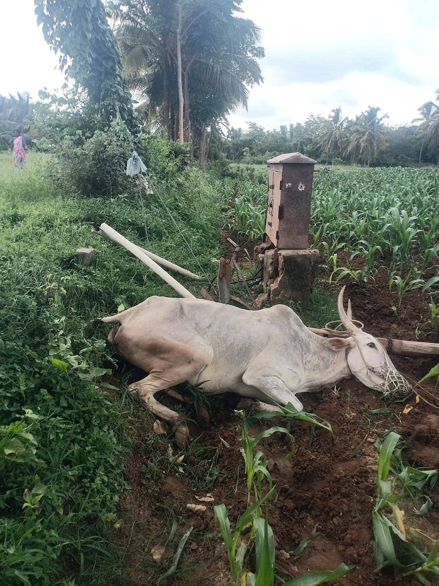 <div class="paragraphs"><p>ಸಾಂದರ್ಭಿಕ ಚಿತ್ರ</p></div>