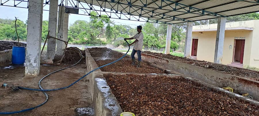 ಮಂಡ್ಯ ಹೊರವಲಯ, ಕಾಳೇನಹಳ್ಳಿ ಕಸ ಸಂಗ್ರಹ ಘಟಕದಲ್ಲಿ ಸಿದ್ಧಗೊಂಡಿರುವ ಕಾಪೋಸ್ಟ್ ಗೊಬ್ಬರ