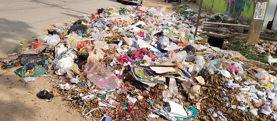 ಆನೇಕಲ್‌ ತಾಲ್ಲೂಕಿನ ದೊಮ್ಮಸಂದ್ರದಲ್ಲಿ ರಸ್ತೆ ಬದಿಯಲ್ಲಿ ಹಾಕಿರುವ ಕಸದ ರಾಶಿ