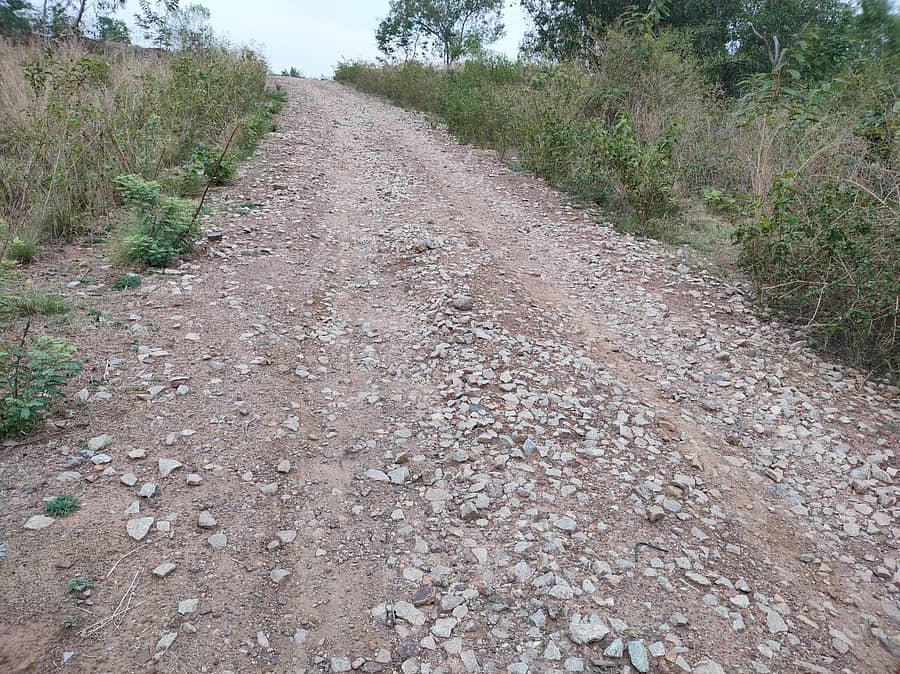 ಹುಳಿಯಾರು ಹೋಬಳಿಯ ದಸೂಡಿ-ಸೋಮನಹಳ್ಳಿ ರಸ್ತೆಯಿಂದ ನುಲೇನೂರು ಗ್ರಾಮಕ್ಕೆ ಸಂಪರ್ಕ ಕಲ್ಪಿಸುವ ರಸ್ತೆಯಲ್ಲಿ ಜಲ್ಲಿಕಲ್ಲು ಕಿತ್ತು ಹೋಗಿದೆ