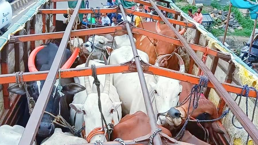 ಸಾಂದರ್ಭಿಕ ಚಿತ್ರ