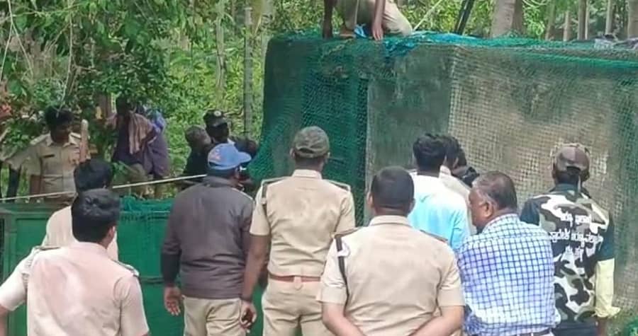 ಅರಣ್ಯ ಇಲಾಖೆ ಸಿಬ್ಬಂದಿ