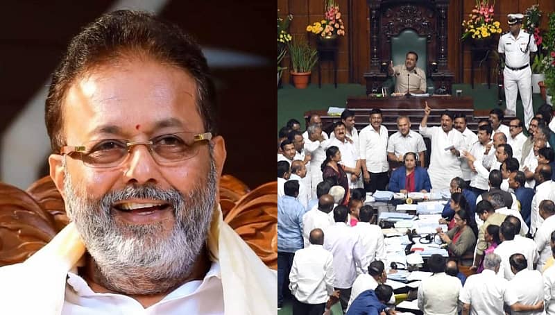 ಚಲುವರಾಯಸ್ವಾಮಿ ಮತ್ತು ವಿಧಾನಸಭೆ