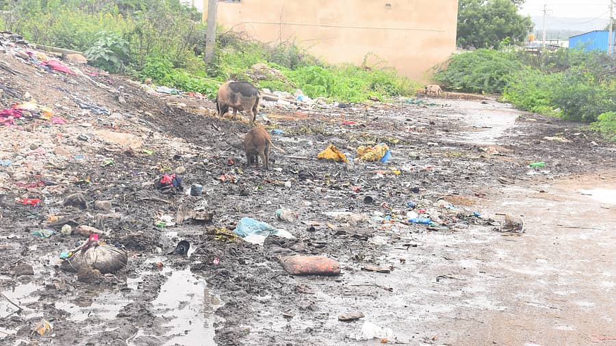 ಯಾದಗಿರಿ ನಗರದ ಕೋಲಿವಾಡದ ಏರಿಯಾದಲ್ಲಿ ಶೌಚಾಲಯದ ಪಕ್ಕದಲ್ಲಿ ಸಂಗ್ರಹವಾಗಿರುವ ಘನ ತ್ಯಾಜ್ಯ