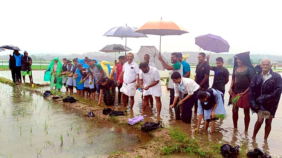 ಬೈಂದೂರಿನ ಶಿರೂರು ಕರಾವಳಿಯಲ್ಲಿ ಶನಿವಾರಬಂಜರು ಭೂಮಿ ಹಸನಾಗಿಸುವ ಸಂಕಲ್ಪದೊಂದಿಗೆ ‘ವಿದ್ಯಾರ್ಥಿಗಳಿಂದ ಗದ್ದೆ ನಾಟಿ’ ವಿಶೇಷ ಕಾರ್ಯಕ್ರಮವನ್ನು ಬೈಂದೂರು ಶಾಸಕರು ಗುರುರಾಜ್ ಗಂಟಿಹೊಳೆ ನಾಟಿ ಮಾಡುವ ಮೂಲಕ ಉದ್ಘಾಟಿಸಿದರು.