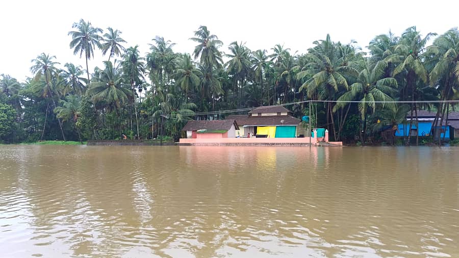 ಕುಂದಾಪುರ ಸಮೀಪದ ಬಡಾಕೆರೆ ಭಾಗದಲ್ಲಿ ಕಾಣಿಸಿಕೊಂಡಿರುವ ನೆರೆ ನೀರಿನಲ್ಲಿ ಕೃಷಿ ಗದ್ದೆಗಳಲ್ಲಿ ನೀರು ತುಂಬಿ ವಾಸ್ತವ್ಯ ಮನೆ ಸುತ್ತೆಲ್ಲ ಕೃತಕ ಸರೋವರ ನಿರ್ಮಾಣವಾಗಿದೆ