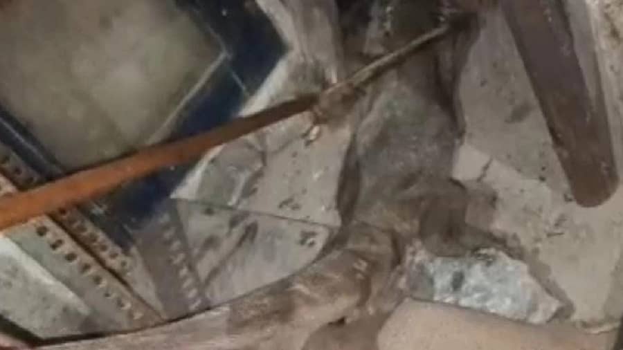 ಉಡ ರಕ್ಷಣೆ