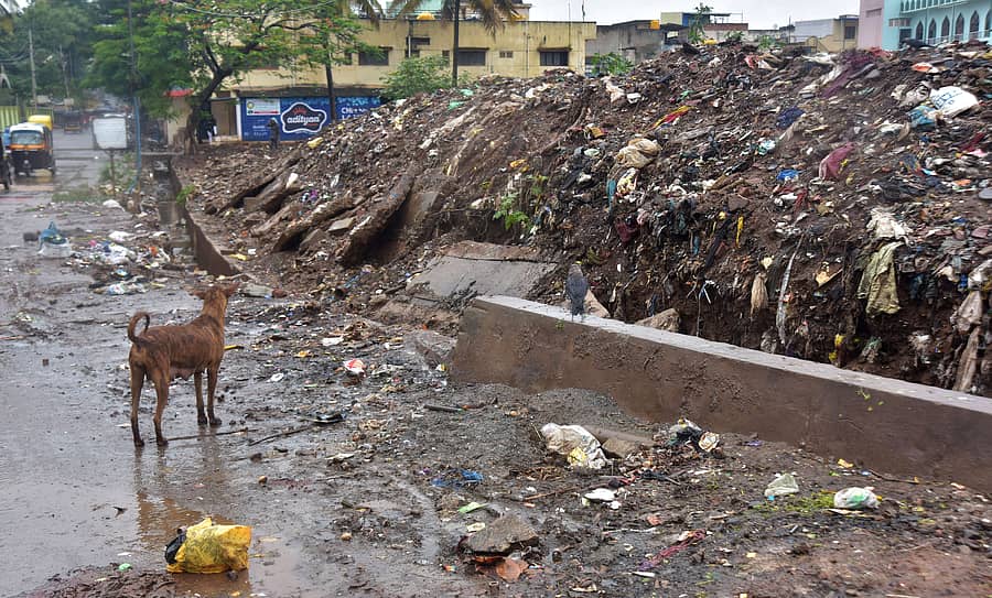 ಹುಬ್ಬಳ್ಳಿಯ ಇಬ್ರಾಹಿಂಪುರ ರಸ್ತೆ ಬದಿಯಲ್ಲಿಯೇ ರಾಜಕಾಲುವೆಯ ಹೊಳು, ತ್ಯಾಜ್ಯವನ್ನು ಸುರಿದಿರುವುದು
–ಚಿತ್ರ: ಗುರು ಹಬೀಬ