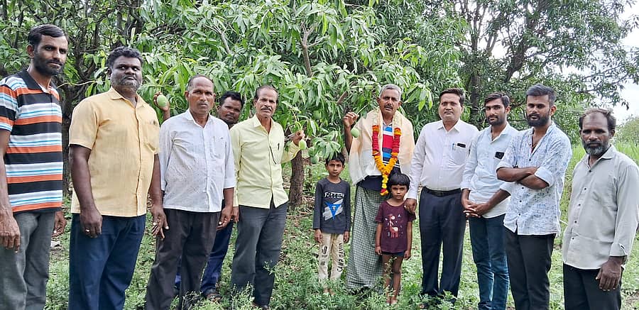 ಕಮಲಾಪುರ ಸಮೀಪದ ಹಾಳ ಸುಲ್ತಾನಪುರದಲ್ಲಿ ಆಯೋಜಿಸಿದ್ದ ರಾಷ್ಟ್ರೀಯ ಮಾವಿನ ಹಣ್ಣು ದಿನಾಚರಣೆಯಲ್ಲಿ ಪ್ರಗತಿಪರ ರೈತ ಶರಣಬಸಪ್ಪ ಪಾಟೀಲ ಅವರನ್ನು ಸನ್ಮಾನಿಸಲಾಯಿತು
