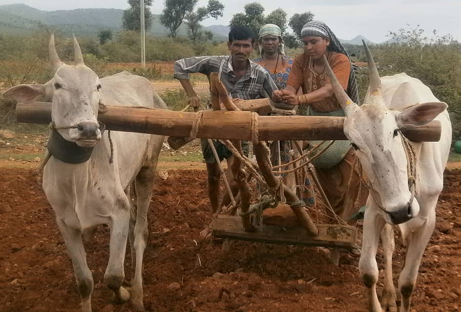 ರೈತರು ಬಿತ್ತನೆಯಲ್ಲಿ ತೊಡಗಿರುವುದು (ಸಾಂದರ್ಭಿಕ ಚಿತ್ರ)