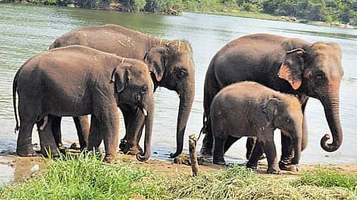 ಪ್ರಾತಿನಿಧಿಕ ಚಿತ್ರ