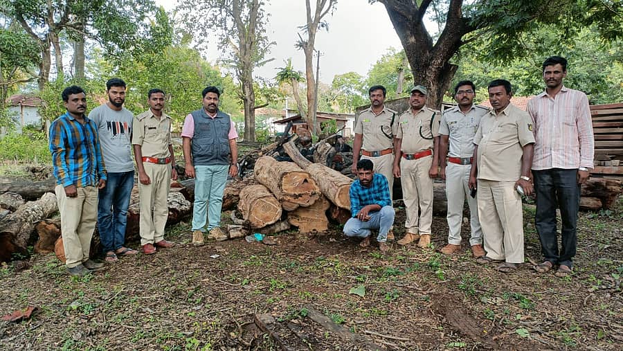 ಸೊರಬದಲ್ಲಿ ಸಾಗುವಾನಿ ಮರಗಳನ್ನು ಅಕ್ರಮ ಕಡಿತಲೆ ಮಾಡಿ ವಾಹನದಲ್ಲಿ ಸಾಗುತ್ತಿದ್ದ ಆರೋಪಿಯನ್ನು ಅರಣ್ಯ ಅಧಿಕಾರಿಗಳು ಬಂಧಿಸಿರುವುದು
