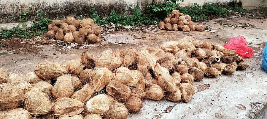 ಚಾಮರಾಜನಗರದ ಮಳಿಗೆಯೊಂದರಲ್ಲಿ ಸೋಮವಾರ ಮಾರಾಟಕ್ಕೆ ಇಟ್ಟಿದ್ದ ತೆಂಗಿನಕಾಯಿಗಳು