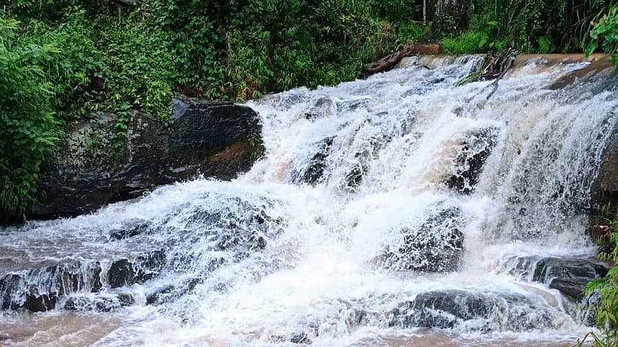 ಸುಂಟಿಕೊಪ್ಪ ಸಮೀಪದ ಹಾಲೇರಿ ಗ್ರಾಮದಲ್ಲಿರುವ ‘ಹಾಲೇರಿ ಜಲಪಾತ’ದ ಸೊಬಗು.