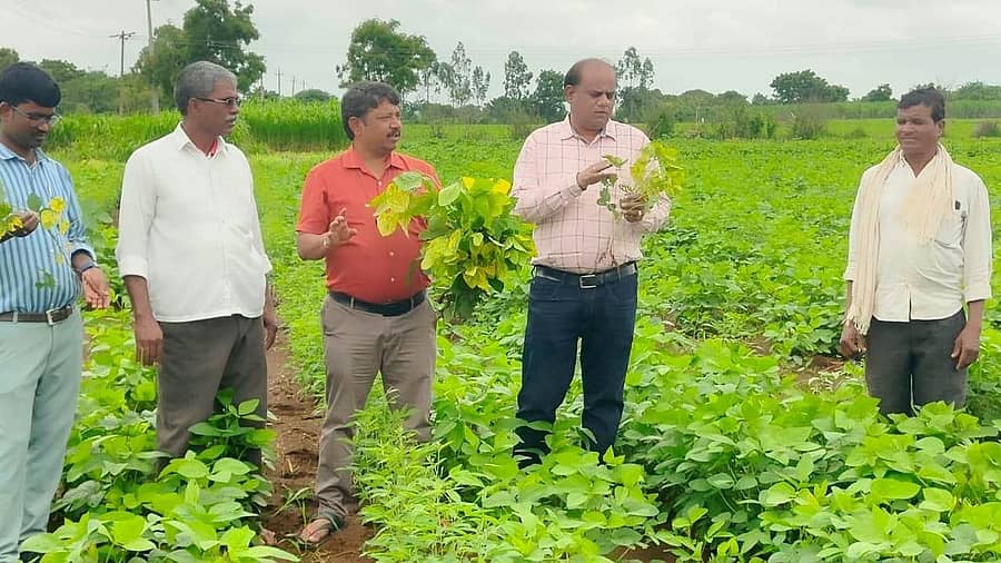 ಜನವಾಡ ಕೃಷಿ ವಿಜ್ಞಾನ ಕೇಂದ್ರದ ವಿಜ್ಞಾನಿಗಳು ಬೀದರ್ ತಾಲ್ಲೂಕಿನ ಔರಾದ್(ಎಸ್) ಗ್ರಾಮದ ಹೊಲವೊಂದರಲ್ಲಿ ಹೆಸರು ಬೆಳೆ ವೀಕ್ಷಣೆ ಮಾಡಿದರು