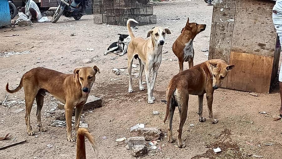 ಸಾಂದರ್ಭೀಕ ಚಿತ್ರ 