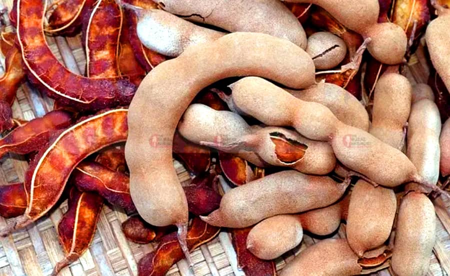 ಹುಣಸೆಹಣ್ಣು