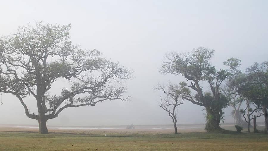 ಮಂಜಿನಾಟ... ಮಡಿಕೇರಿಯ ಗಾಳಿಬೀಡು ರಸ್ತೆಯಲ್ಲಿರುವ ಗಾಲ್ಫ್ ಅಂಗಣದಲ್ಲಿ ಮಂಗಳವಾರ ಮಂಜು ಮುಸುಕಿದ ವಾತಾವರಣ ಕಂಡುಬಂದಿದ್ದು ಹೀಗೆ – ಪ್ರಜಾವಾಣಿ ಚಿತ್ರ