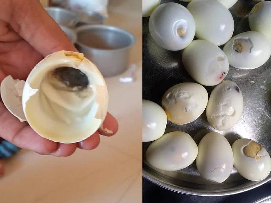 ಹಾವೇರಿ ಜಿಲ್ಲೆಯ ಅಂಗನವಾಡಿ ಕೇಂದ್ರಗಳಿಗೆ ಪೂರೈಕೆಯಾದ ಕಳಪೆ ಮೊಟ್ಟೆಗಳು