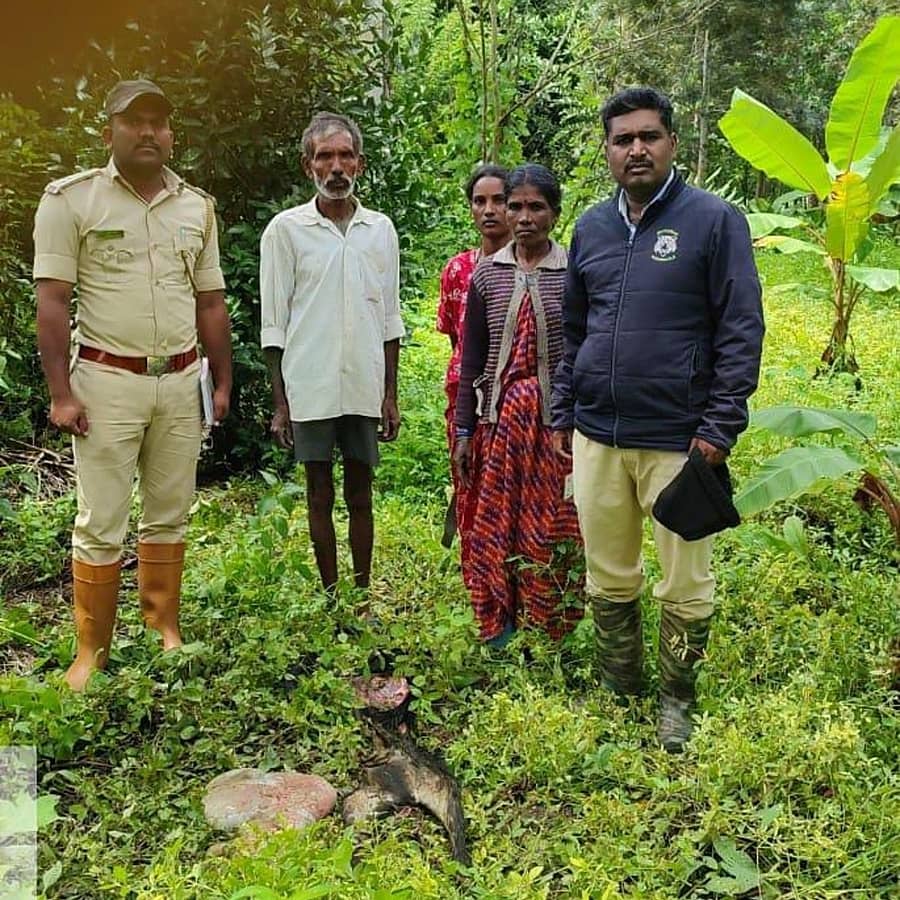 ಹನಗೋಡು ಹೋಬಳಿ ಬಿಲ್ಲೇನ ಹೊಸಹಳ್ಳಿಯ ಕಮಲಮ್ಮಶಂಕರಶೆಟ್ಟಿ ಅವರಿಗೆ ಸೇರಿದ ಮೇಕೆಯನ್ನು ಚಿರತೆ ತಿಂದು ಹಾಕಿರುವುದನ್ನು ಡಿಆರ್‌ಎಫ್‌ಒ ವೀರಭದ್ರಯ್ಯ ಮತ್ತು ಸಿಬ್ಬಂದಿ ಭೇಟಿ ನೀಡಿ ಪರಿಶಿಲಿಸಿದರು