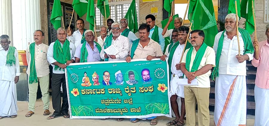 ಮೊಳಕಾಲ್ಮುರು ತಾಲ್ಲೂಕು ಕಚೇರಿ ಎದುರು ರಾಜ್ಯ ರೈತ ಸಂಘದ ಕಾರ್ಯಕರ್ತರು ಸೋಮವಾರ ಪ್ರತಿಭಟನೆ ನಡೆಸಿದರು.