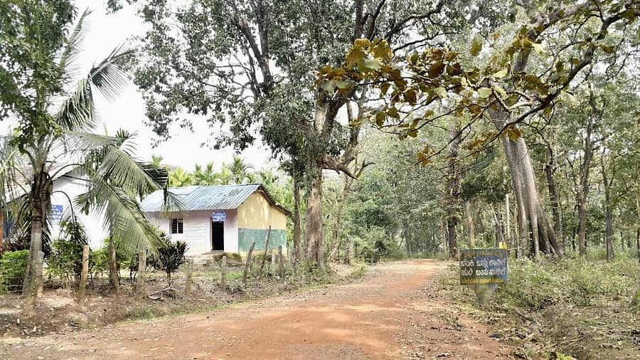 ಶಿವಮೊಗ್ಗ ತಾಲ್ಲೂಕಿನ ಶೆಟ್ಟಿಹಳ್ಳಿ ಅಭಯಾರಣ್ಯ ವ್ಯಾಪ್ತಿಯ ಚಿತ್ರಶೆಟ್ಟಿಹಳ್ಳಿ ಮುಖ್ಯರಸ್ತೆಯ ನೋಟ –ಪ್ರಜಾವಾಣಿ ಚಿತ್ರ: ಶಿವಮೊಗ್ಗ ನಾಗರಾಜ್