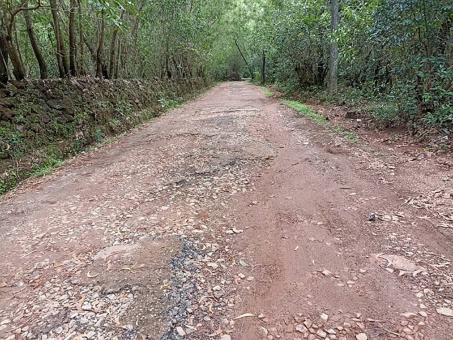 ಸಂಪೂರ್ಣ ಡಾಂಬರು ಕಿತ್ತು ಹೋಗಿ ಹೊಂಡಮಯವಾದ ಹೆಬಳೆ– ಶೇಡಬರಿ ರಸ್ತೆಯ ದೃಶ್ಯ