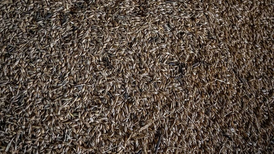 ಚಿತ್ರಕೃಪೆ: ರಾಯಿಟರ್ಸ್