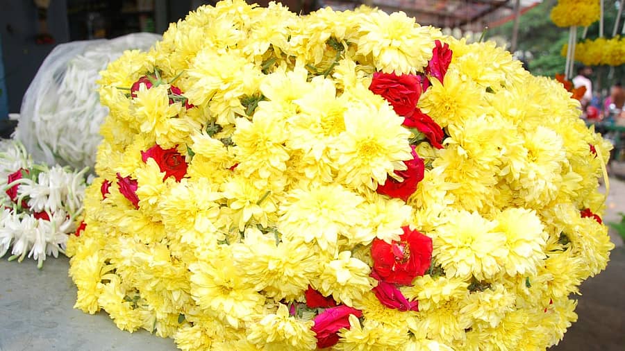 ಸೇವಂತಿಗೆ ಹೂವು