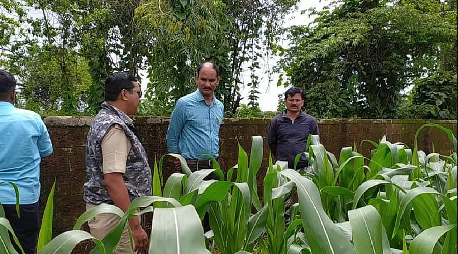 ಮುಂಡಗೋಡ ಹೊರವಲಯದ ಕಲಘಟಗಿ ರಸ್ತೆ ಪಕ್ಕದ ಗೋವಿನಜೋಳ ಹೊಲದಲ್ಲಿ ಚಿರತೆ ಪ್ರತ್ಯಕ್ಷವಾಗಿರುವ ಸ್ಥಳಕ್ಕೆ ಆರ್ಎಫ್ಒ ಸುರೇಶ ಕುಲ್ಲೋಳ್ಳಿ ಹಾಗೂ ಸಿಬ್ಬಂದಿ ಭೇಟಿ ನೀಡಿ ಪರಿಶೀಲಿಸಿದರು