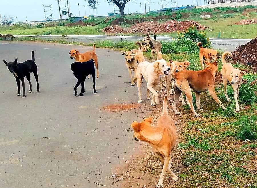 ಸಾಂದರ್ಭಿಕ ಚಿತ್ರ