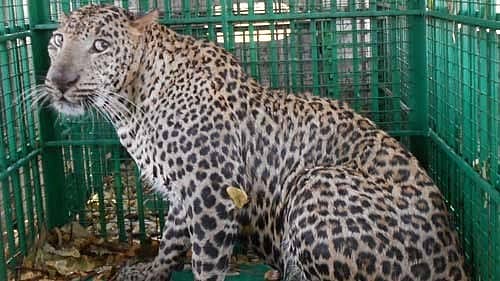 ಸಾಂದರ್ಭಿಕ ಚಿತ್ರ