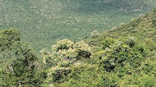 ಪ್ರಾತಿನಿಧಿಕ ಚಿತ್ರ