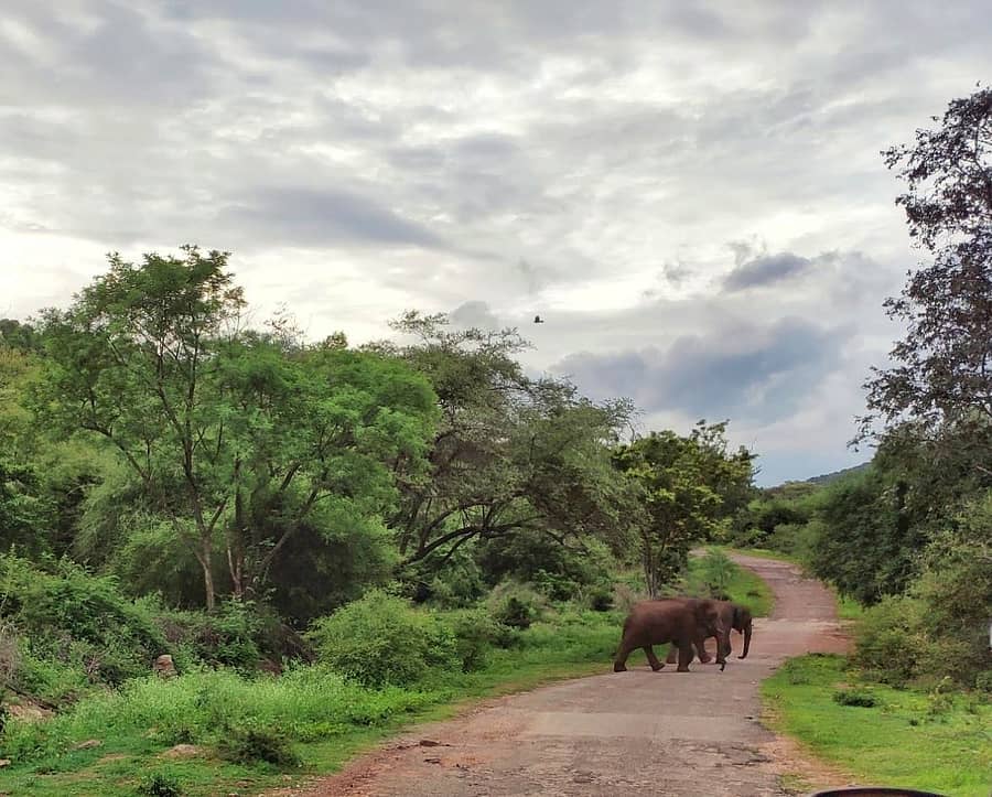 ಸಾಂದರ್ಭಿಕ ಚಿತ್ರ