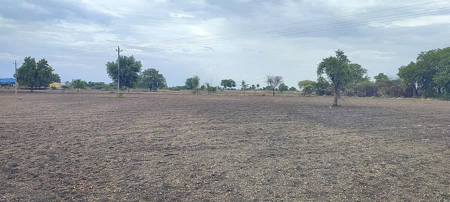 ಮಳೆಯಾಗದ್ದರಿಂದ ಬಿತ್ತನೆಯಾಗದಿರುವ ಭೂಮಿ
