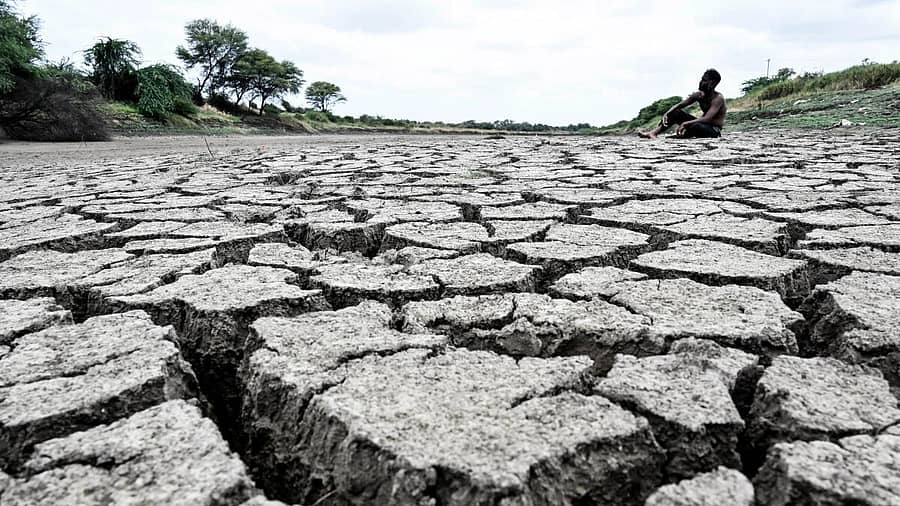 <div class="paragraphs"><p>ಅಫಜಲಪುರ ತಾಲೂಕಿನ ದೇವಲ ಗಾಣಗಾಪುರದ ಹತ್ತಿರ ಬೀಮಾನದಿ ಮತ್ತು ಅಮರ್ಜಾ ನದಿ ಸೇರಿಕೊಂಡಿರುವ ಸಂಗಮ ಪುಣ್ಯ ಸ್ಥಳದಲ್ಲಿ ನದಿ ನೀರಿಲ್ಲದೆ ಬತ್ತಿ ಹೋಗಿದ್ದರಿಂದ ನೆಲ ಬಿರುಕು ಬಿಟ್ಟಿರುವುದು<br></p></div>