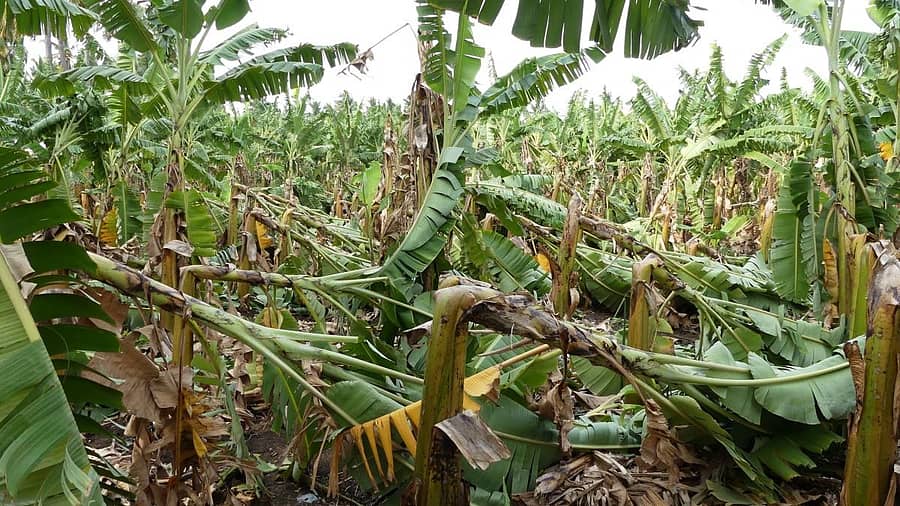 ಸಾಂದರ್ಭಿಕ ಚಿತ್ರ