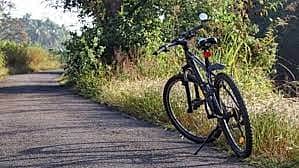 ಸಾಂದರ್ಭಿಕ ಚಿತ್ರ