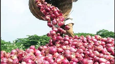 ಈರುಳ್ಳಿ 