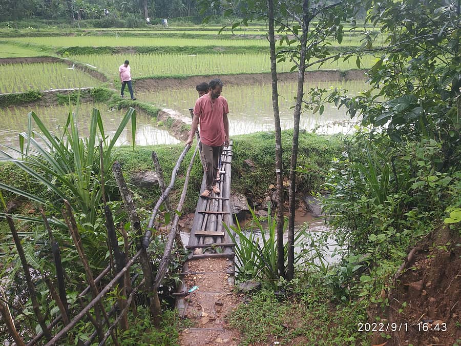 ಹೊಸನಗರ ತಾಲ್ಲೂಕಿನ ನೇಗಿಲೋಣ ಗ್ರಾಮದಲ್ಲಿನ ಕಾಲುಸಂಕ