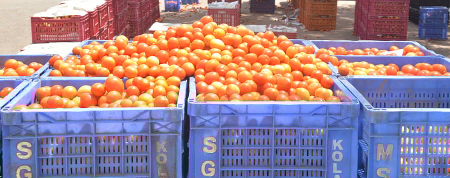 ಕೋಲಾರ ಎಪಿಎಂಸಿಯಲ್ಲಿ ಟೊಮೆಟೊ ವಹಿವಾಟು