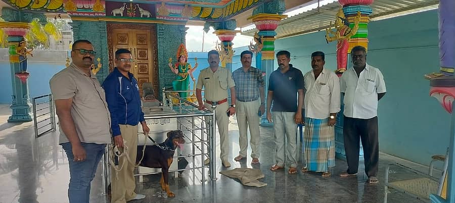 ಬೆಟ್ಟದಪುರ ಗ್ರಾಮದೇವತೆ ಶಾಂತವೀರಮ್ಮ ದೇವಸ್ಥಾನದಲ್ಲಿ ಹುಂಡಿ ಒಡೆದು ಕಳ್ಳತನವಾಗಿರುವ ಹಿನ್ನಲೆ ಪೊಲೀಸರು ಶ್ವಾನದಳ ಮತ್ತು ಬೆರಳಚ್ಚು ತಜ್ಞರನ್ನು ಕರೆಸಿ ಪರಿಶೀಲನೆ ನಡೆಸಿದರು